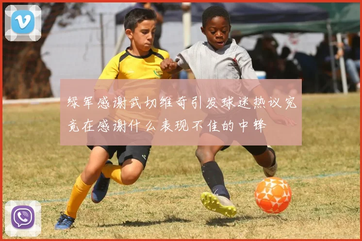 绿军感谢武切维奇引发球迷热议究竟在感谢什么表现不佳的中锋
