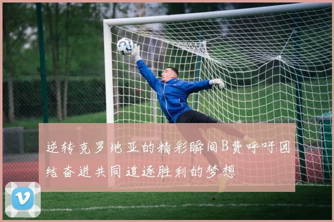 逆转克罗地亚的精彩瞬间B费呼吁团结奋进共同追逐胜利的梦想